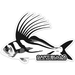 Gary Bulla Baja Rooster Fish Sticker
