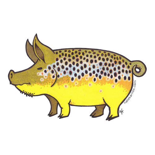 Nate Karnes Pig Brown Trout Decal
