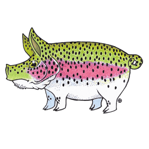 Nate Karnes Pig Rainbow Trout Sticker