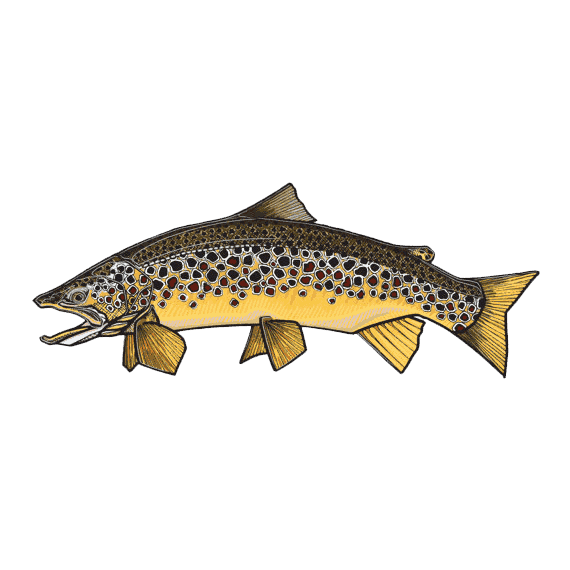 Casey Underwood Brown Trout