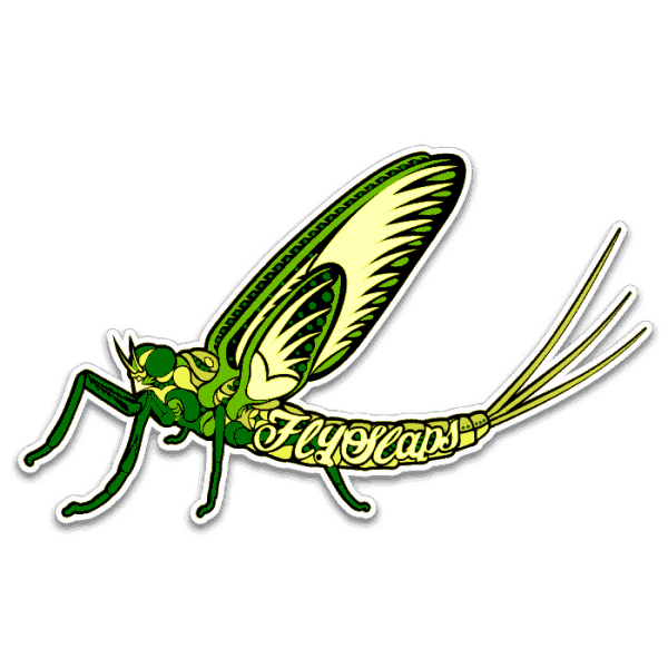 Fly Slaps Ornamented Green Drake