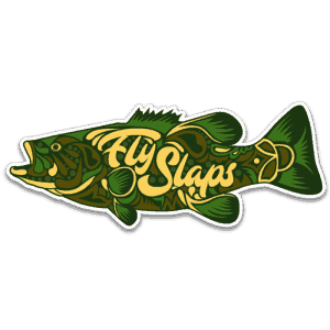 Fly Slaps Ornamented Smallmouth Bass