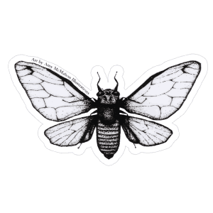 Amy McMahon MAGICICADA SEPTENDECIM Cicada Sticker