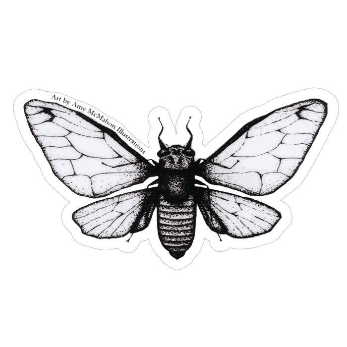 Cicada decal