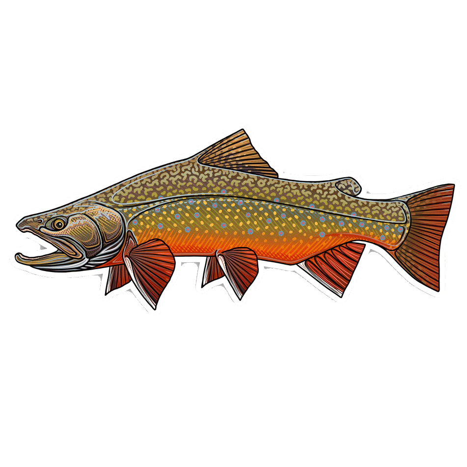 All About Brook Trout - Unicorn Brookies