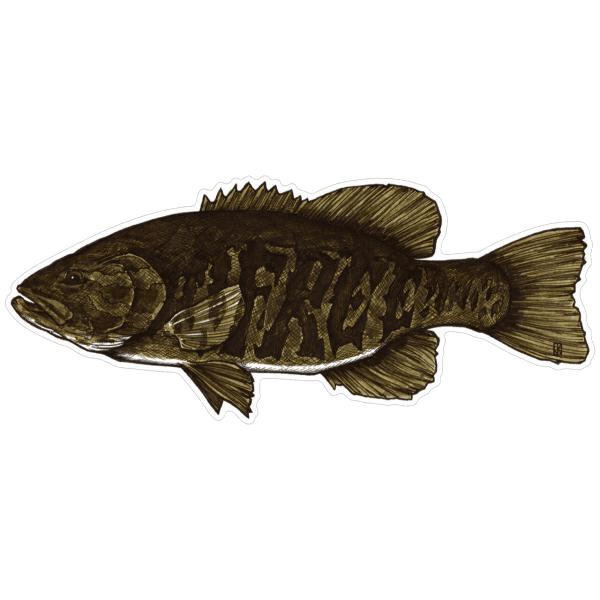 Jake Keeler Free The Fighter Smallmouth Bass Sticker