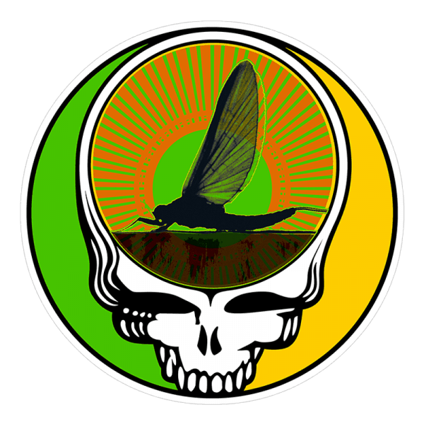 Fly Slaps Steal Your Face Green Drake