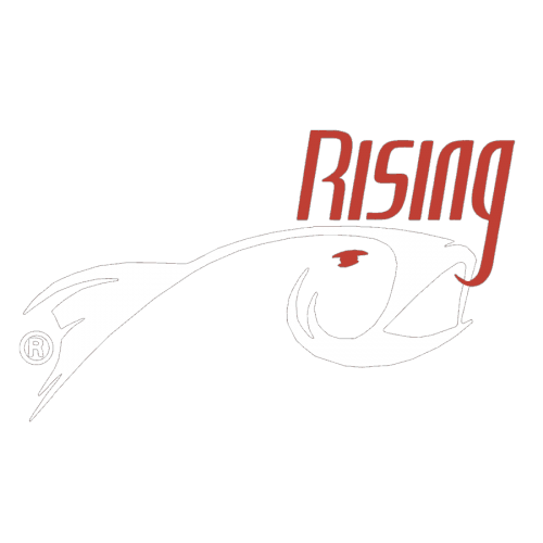 Rising DieCut Sticker