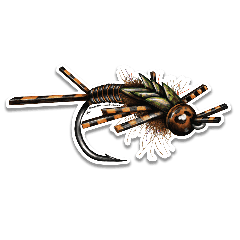 Bozeman Creative Stonefly Nymph Sketch Sticker - Fly Slaps Fly Fishing  Stickers and Decals