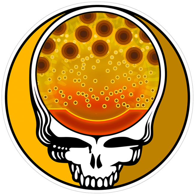 Steal Your Face Cutthroat Trout Sticker