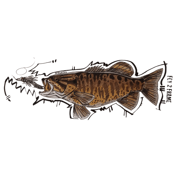 Matthew Stockton Bronzeback Smallmouth Bass Sticker