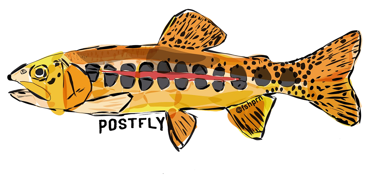 Postfly Golden Trout Sticker