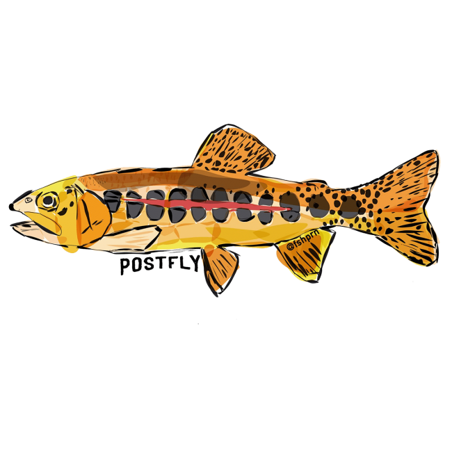 Postfly Golden Trout Sticker