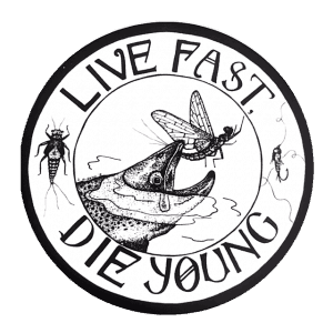 Amy McMahon Live Fast Die Young Sticker