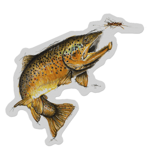 Cory Street Leaping Brown Trout Decal