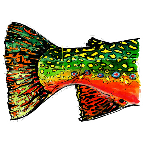 Ryan Keene Brook Trout Tail Sticker