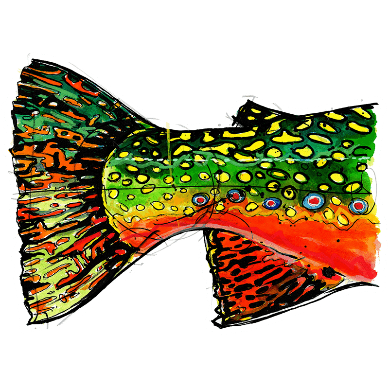 Ryan Keene Brook Trout Tail Sticker - Fly Slaps Fly Fishing Stickers and  Decals