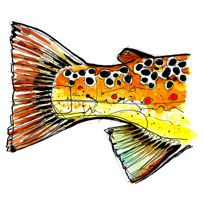 Ryan Keene Brown Trout Tail Sticker Ryan Keene Brown Trout Tail Sticker