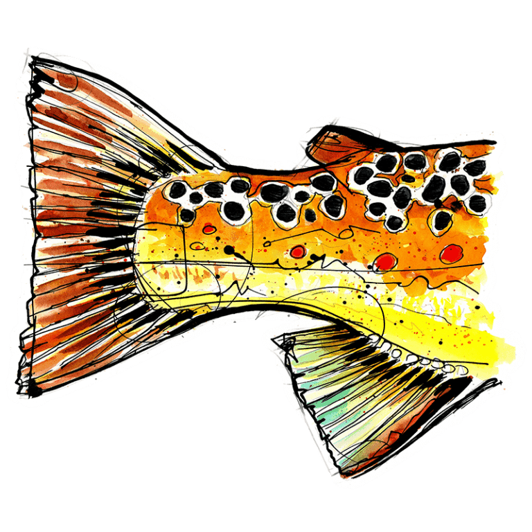 Ryan Keene Brown Trout Tail Sticker