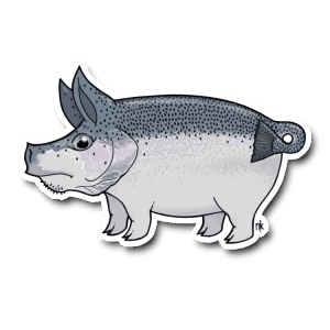 Nate Karnes Pig Steelhead Sticker
