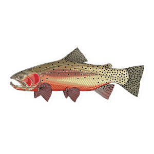 Cutthroat Archives - Fly Slaps Fly Fishing Stickers and Decals