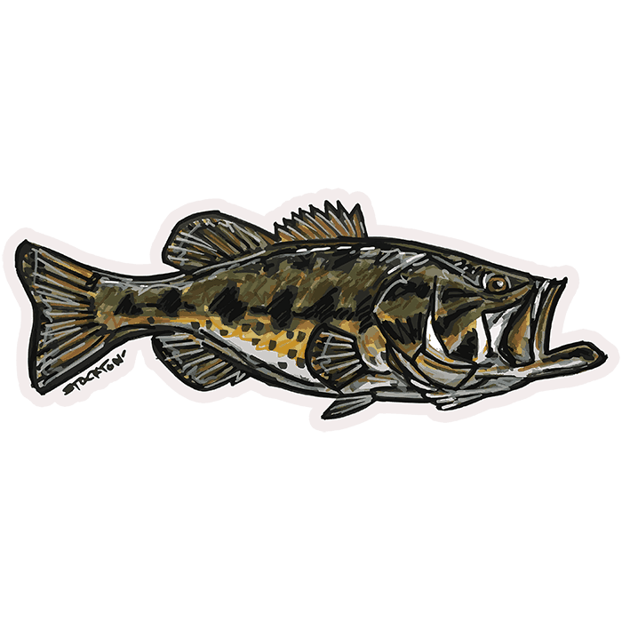 Fly Slaps Matthew Stockton Largemouth Bass Sticker - Fly Slaps Fly Fishing  Stickers and Decals