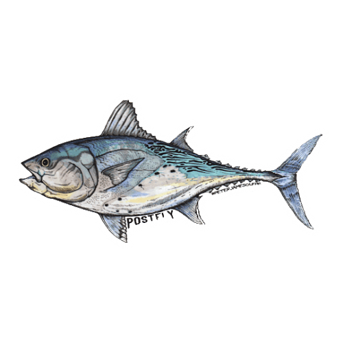 Postfly Peter James Glenn Tuna Sticker