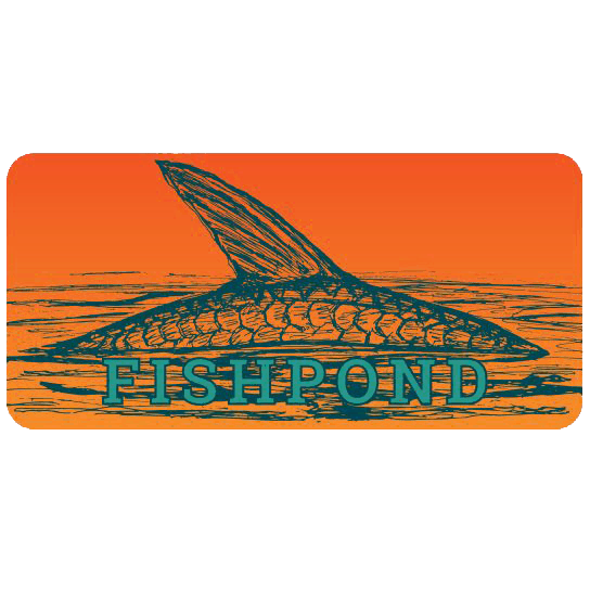Fishpond Sunrise King Tarpon Sticker