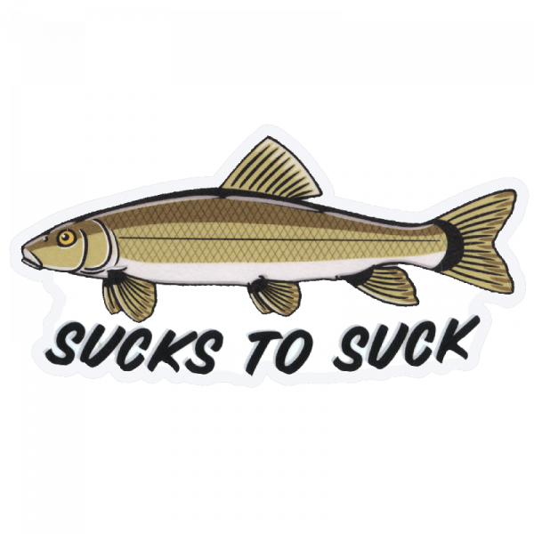 DrewLR Sucks to Suck Carp Sticker