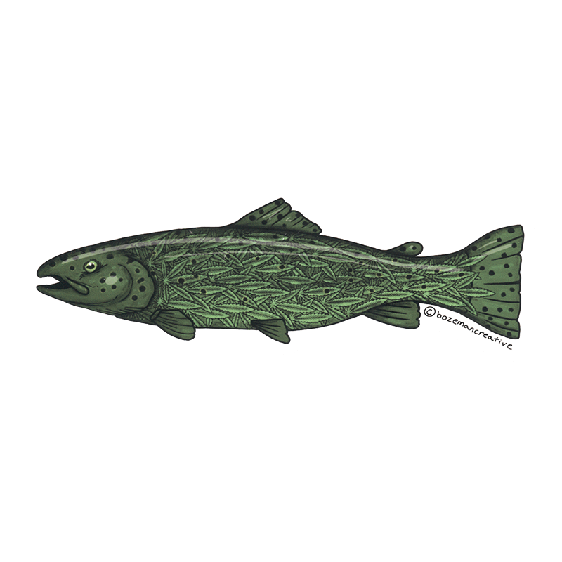 Boseman Creative Green Trout Herbal Fly Fishing Sticker