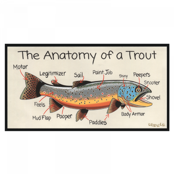DrewLR Anatomy of a Trout Sticker
