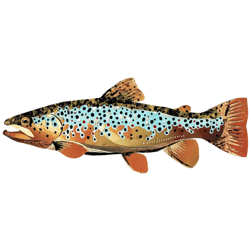 Fly Fishing Fly Tying Vinyl Decal Sticker Rainbow Brown Trout Steelhead Salmon 