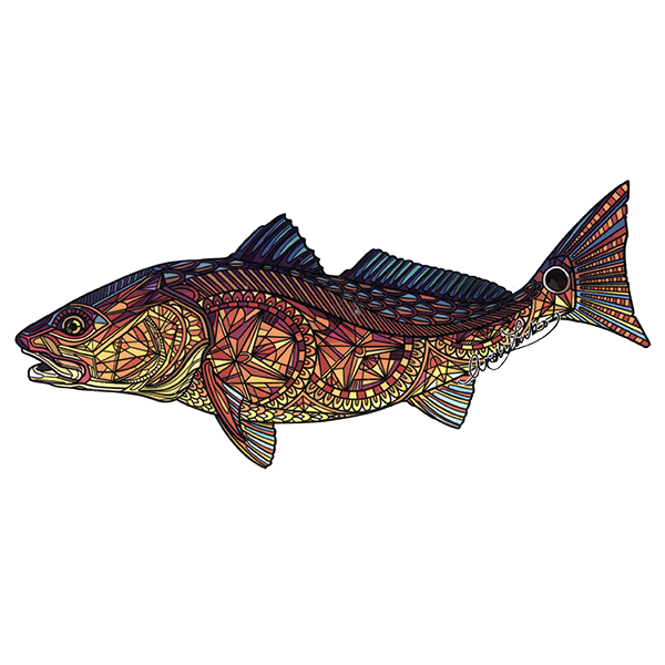 Larko Sunset Redfish