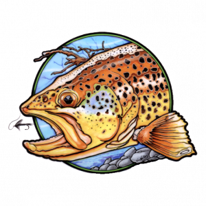 Chuck Kelly Art Brown Trout Sticker