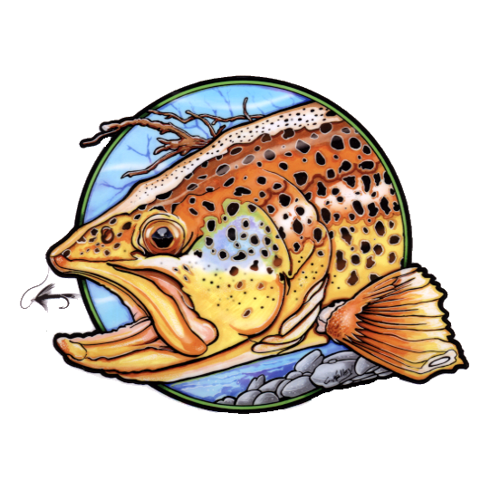 Chuck Kelly Art Brown Trout Sticker