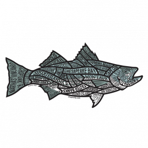 saltwater Archives - Fly Slaps Fly Fishing Stickers and Decals