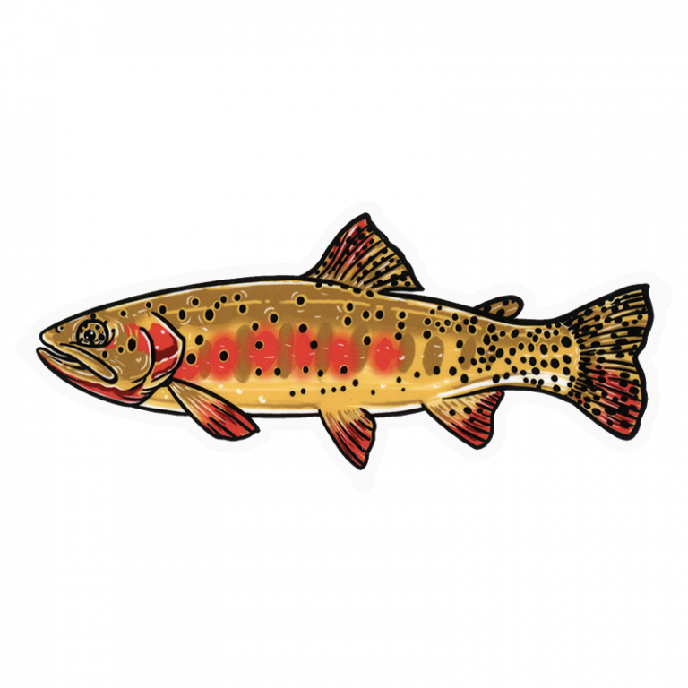 Josh May Golden Trout Sticker - Fly Slaps Fly Fishing Stickers and Decals