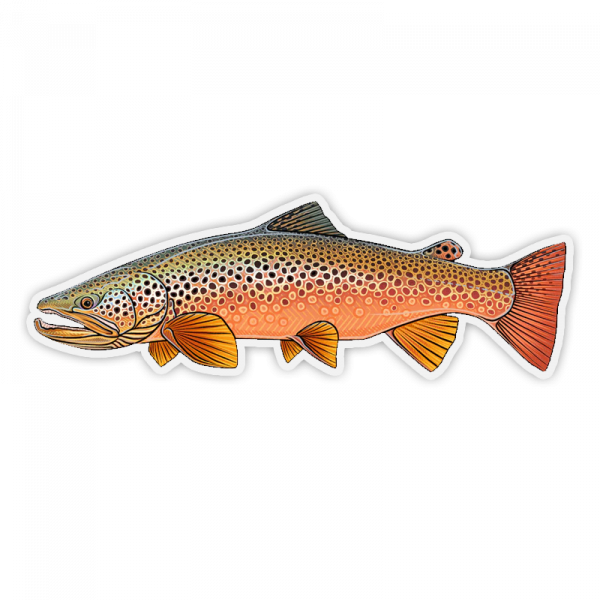 Casey Underwood Autumn Brown Trout Decal