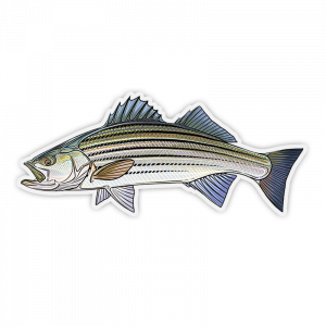 Striper Archives - Fly Slaps Fly Fishing Stickers and Decals