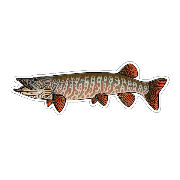 Casey Underwood Tiger Musky Sticker